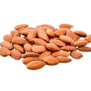 Lorem Ipsum is simply dummy 8